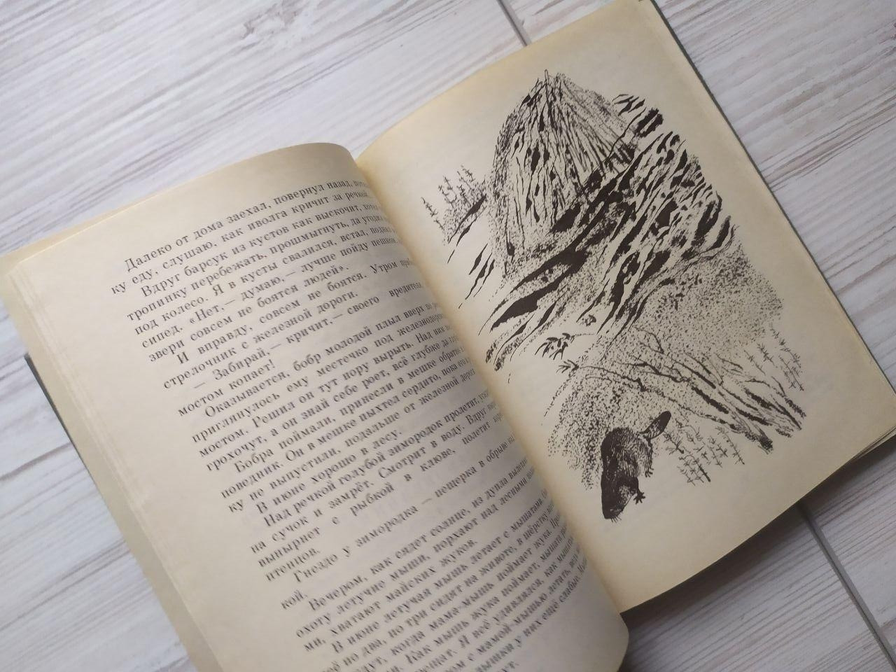 Product image preview