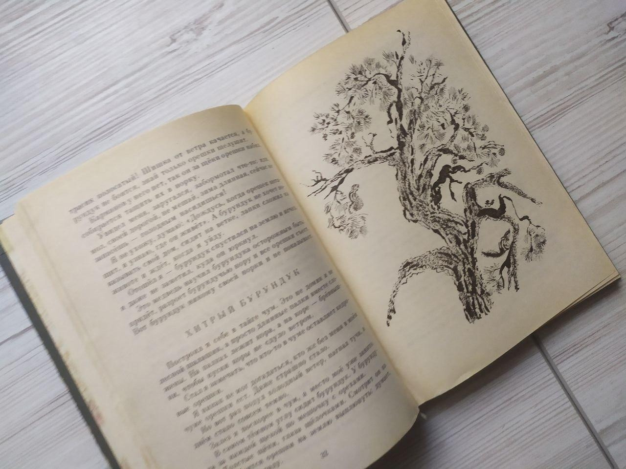 Product image preview