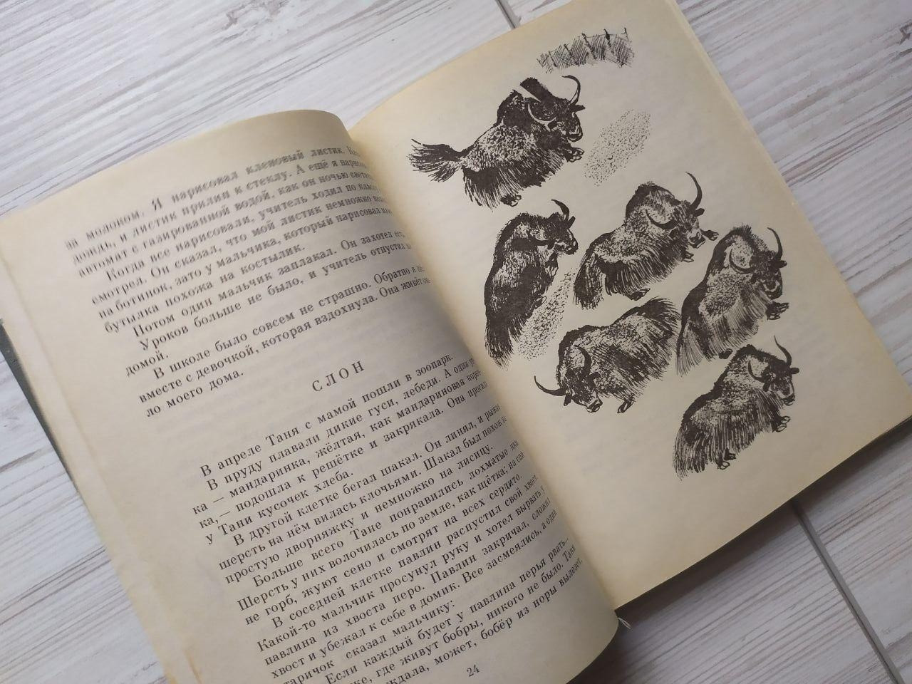 Product image preview