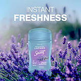 Secret Fresh Invisible Solid Relaxing Lavender, 73 г, Секрет — жіночий дезодорант-антиперспірант із ароматом лаванди протягом 72 г, фото 3