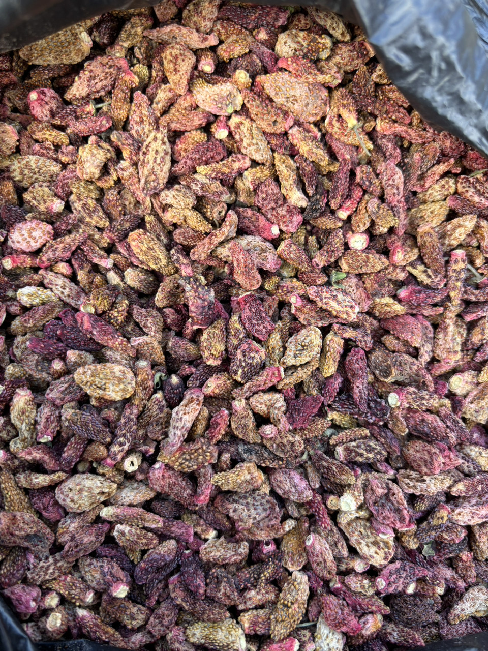 Суниця альпійська (ягоди) , 50г, фото 1