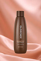 Шампунь проти лупи OLORCHEE Anti Dandruff Shampoo 80 мл