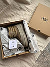 Чоловічі черевики бежеві зимові UGG Classic Mini Lace-Up Weather Dune (22678), фото 6