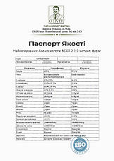 IBCAA 2:1:1 Інстант PROFIPROT 1 кг - Амінокислоти БЦАА без смаку, фото 4