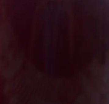 Винний Уксус домашній органічний, 1 л