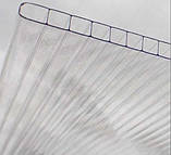 Полікарбонат, стільниковий, для господарських теплиць, парників, розсадників, (6мм) прозорий,   OSCAR STANDARD (Сербія), фото 4