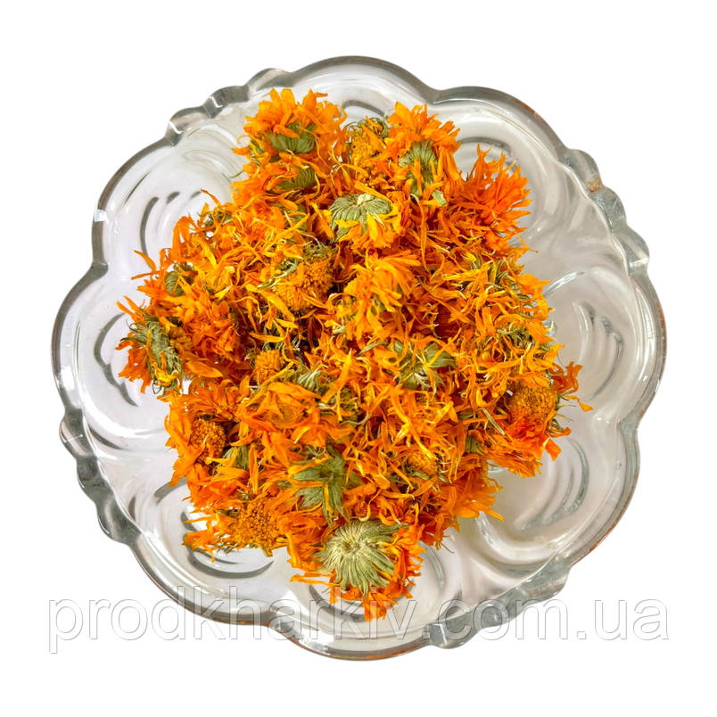 Календула нігтики 0.500, фото 2