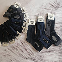 Шкарпетки чоловічі Alba Термо махрові асорті 42-45  | 12 пар