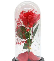 Вічна троянда у формі дерева в скляній колбі з LED-підсвіткою від батарейок в асортименті Dt
