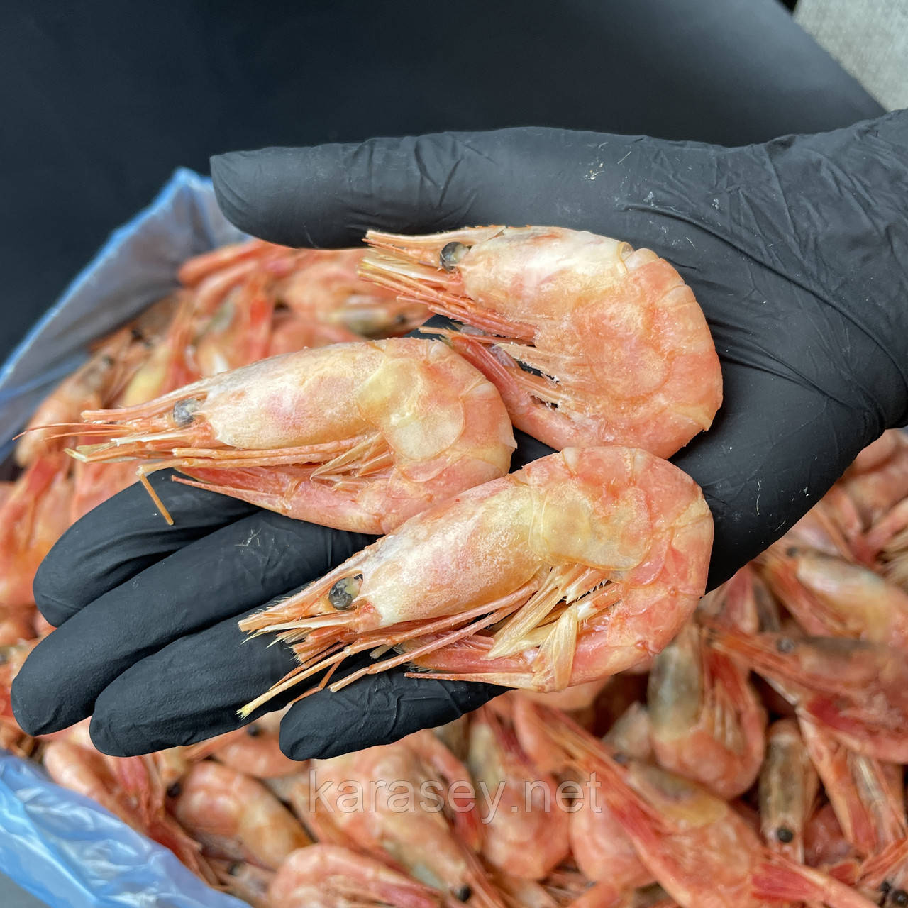 Креветка Атлантична в/м 60-80 шт/кг, фото 1