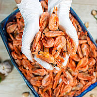 Креветка Атлантична в/м 80-100шт/кг