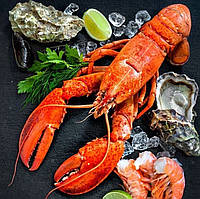 Лобстер свіжоморожений