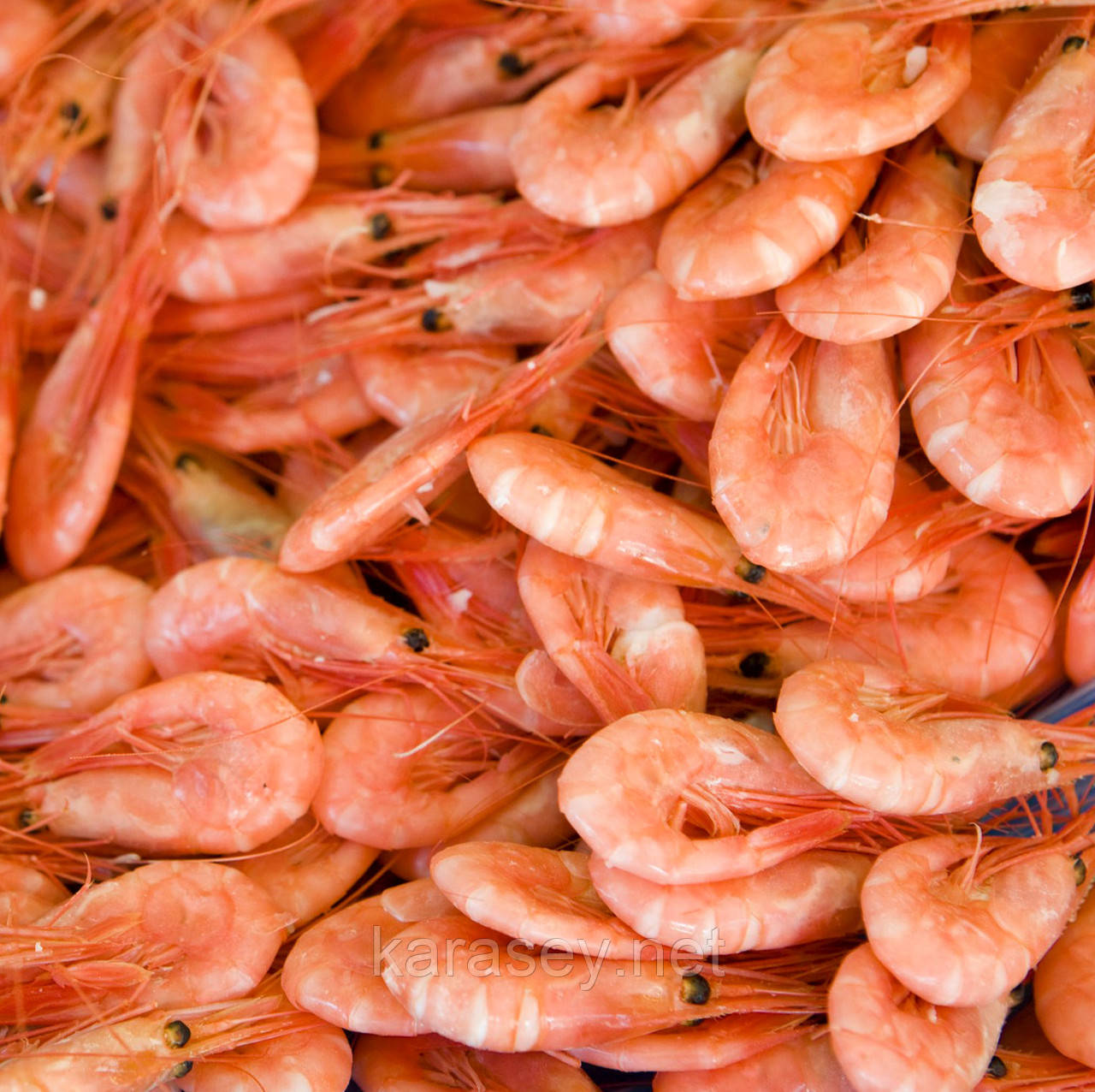 Креветка Атлантична 180шт/кг, фото 1