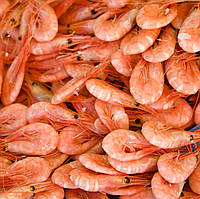 Креветка Атлантична 180шт/кг