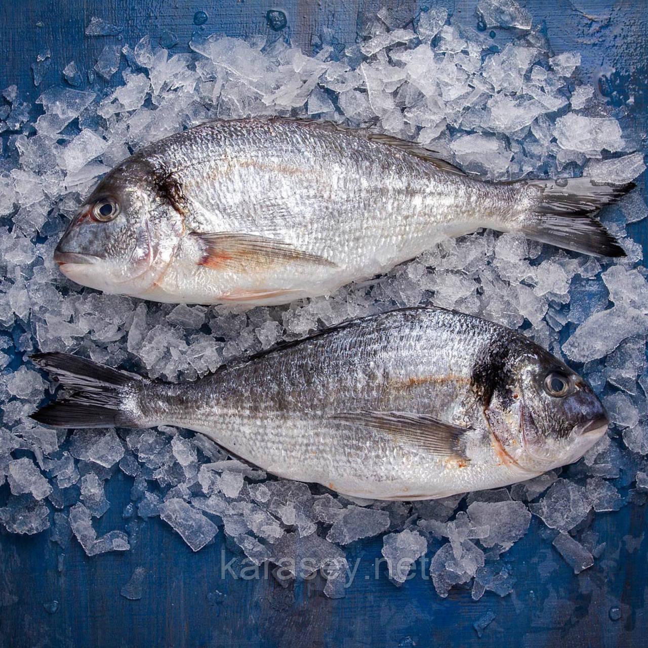 Дорадо 400-600г с/м, фото 1