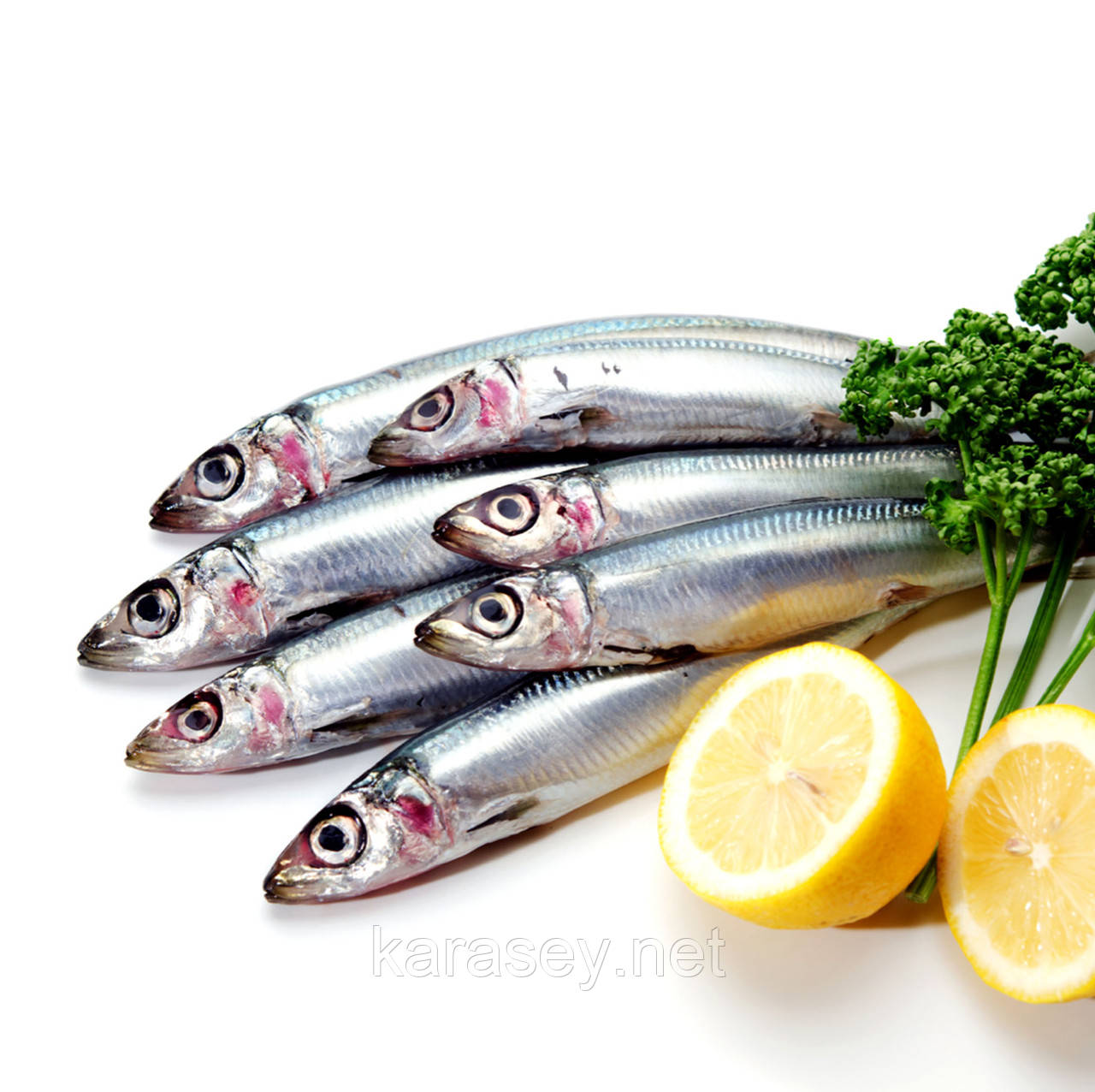 Салака з головою свіжоморожена, фото 1