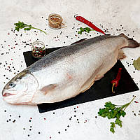 Форель с/м з головою 5-6кг