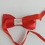 Краватка-метелик для хлопчика в українському стилі червона (290006), фото 3