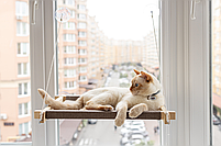 Гамак на вікно PetJoy для кота з дерев'яною основою, білий+беж, фото 3