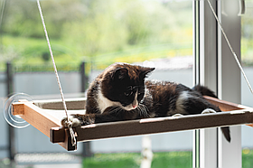 Гамак на вікно PetJoy для кота з дерев'яною основою, коричневий+беж