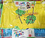 Труси дитячі "HAPPY-BOY" х/б, фото 4