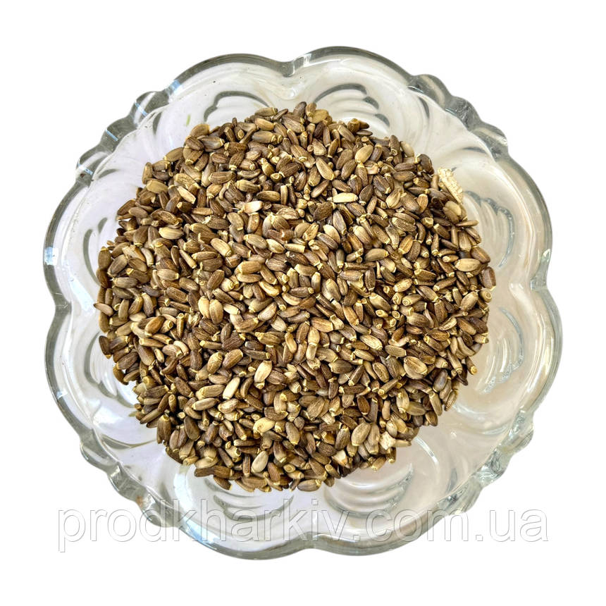 Розторопша зерно 0.200, фото 1