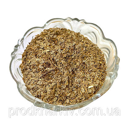 Насіння кропу 0.200, фото 4