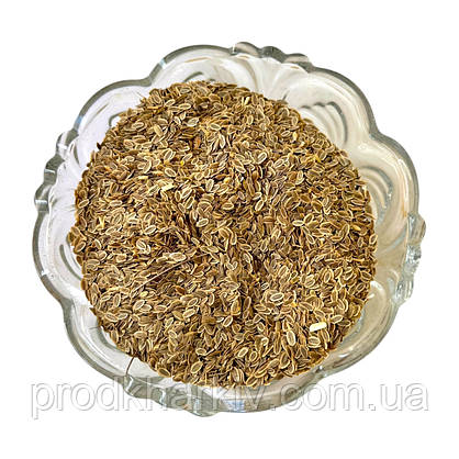 Насіння кропу 0.200, фото 3