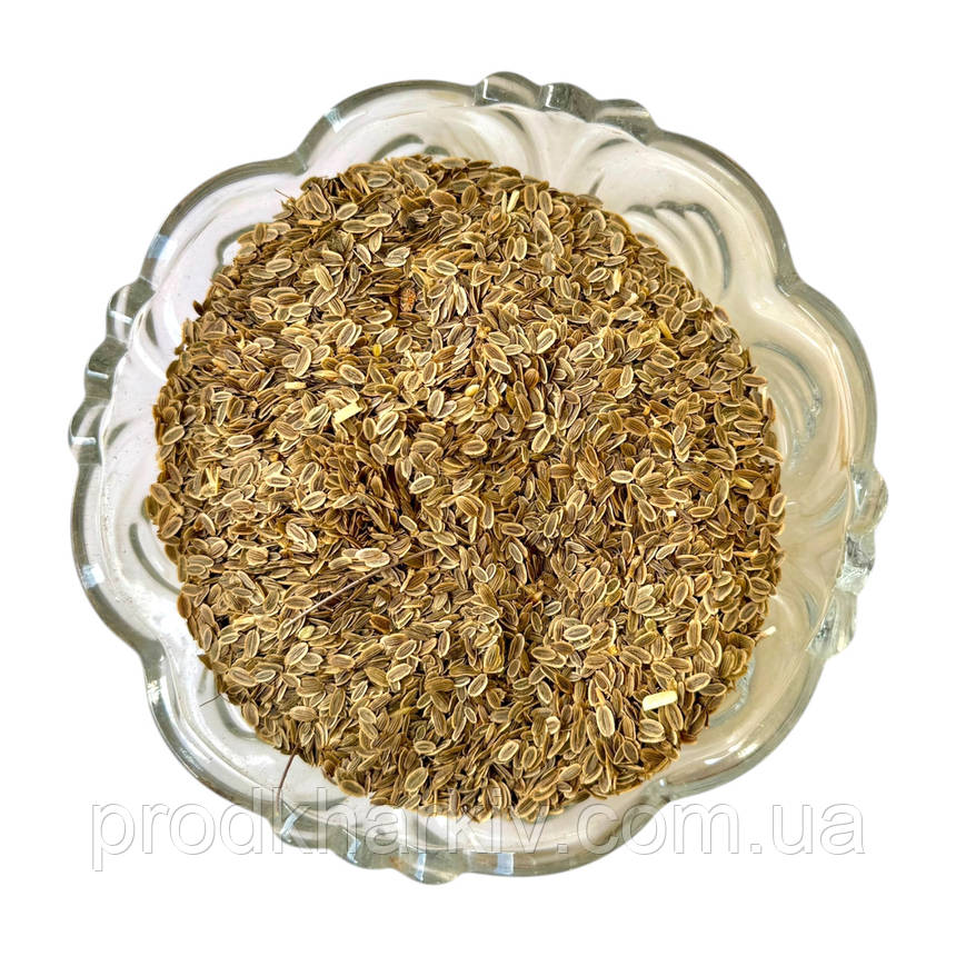 Насіння кропу 0.200, фото 1