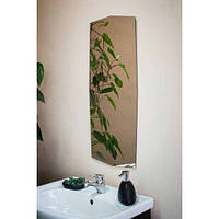 Дзеркало настінне 780х355мм