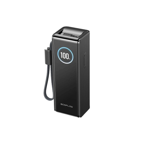 Павербанк EcoFlow RAPID Power Bank з кабелями 25000mAh чорний