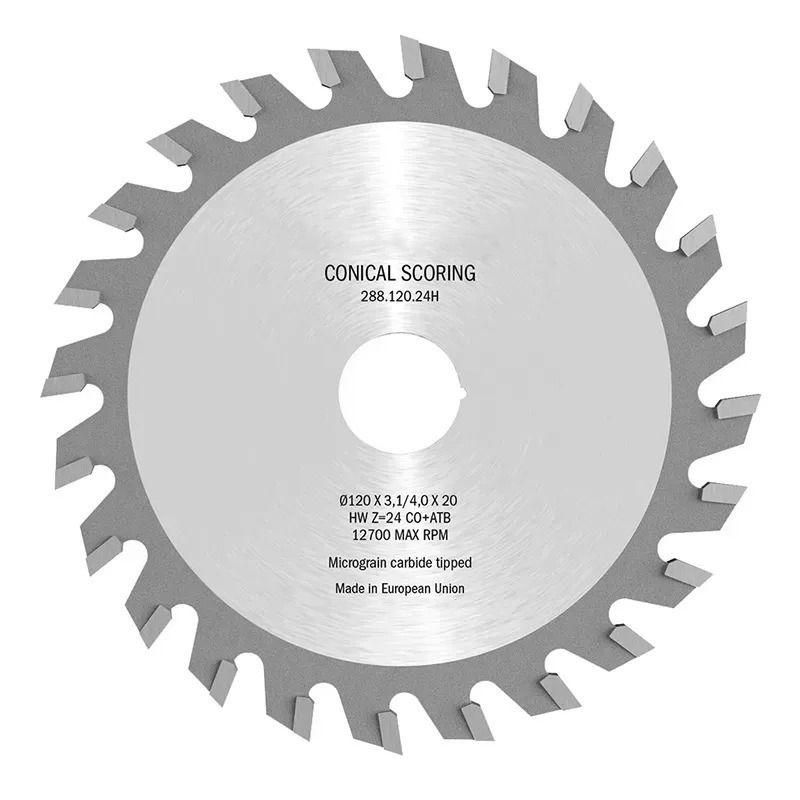 Пила підрізна для форматно-розкрокового верстата HM D-100, F-20, Z-20, K-3,1-/4,0, фото 1