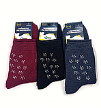 Π¨ΠΊΠ°ΡΠΏΠ΅ΡΠΊΠΈ ΠΆΡΠ½ΠΎΡΡ ΠΏΠΎΠ²Π½Π° ΠΌΠ°Ρ
ΡΠ° 23-25 Ρ. (12 ΠΏΠ°Ρ!) (ΠΠΈΠΌΠΎΠ²Ρ) ΠΠ°ΡΠΎΡ, ΡΠΎΡΠΎ 2