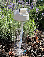 Пляшка для води CASNO 800 мл KXN-1257 Біла, фото 3