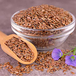 Все про користь насіння льону