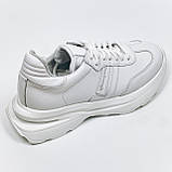 Жіночі шкіряні кросівки білого кольору на шнурівці Danshoes 413/8 білі розмір 36, фото 7