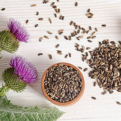 Як правильно приймати насіння розторопші – користь для печінки та здоров'я