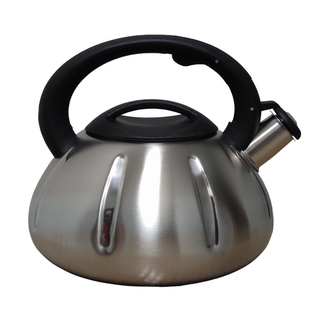 Чайник Vezzer з нержавіючої сталі зі свистком та нейлоновою ручкою 3 л (VZ0066), фото 1