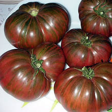 Насіння Томат детермінантний Гном Фестиваль Аделаіди 15 шт.