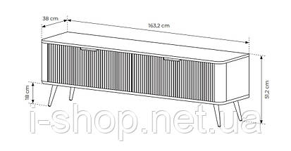Тумба під телевізор Perfect Home Ланте / Lante 2-дверна з золотими ніжками 2D/163 Чорний (PFH-091194), фото 3