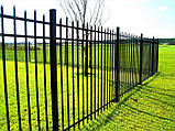 Металевий паркан для приватного будинку, фото 5