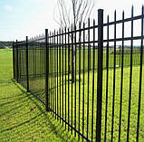 Зварний паркан із профільної труби, фото 2