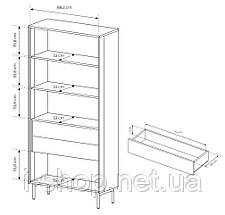 Вітрина висока з підсвіткою Perfect Home Лумі / Lumi 2D2S/91 2-дверна з 2 шухлядами Дуб дунін (PFH-091381), фото 4