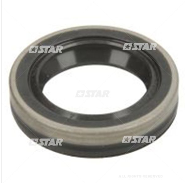 STAR DIESEL DENSO Cальник ПНВТ 31902/10, фото 1