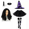 Костюм відьма на Хеллоуїн капелюх. спідниця, панчохи, парик, макіяж, фото 2