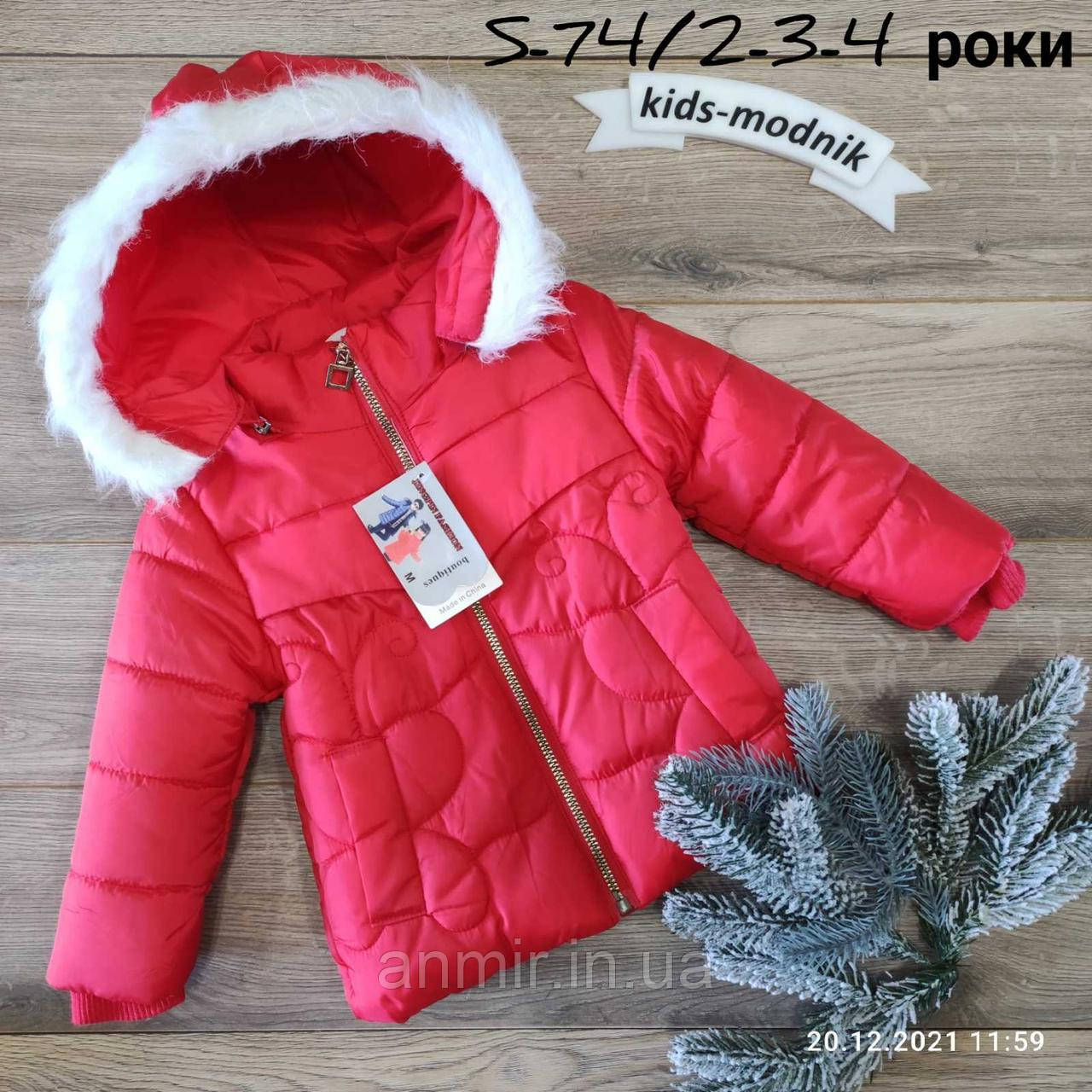 Куртка дитяча єврозима з капюшоном МЕТЕЛИКІ для дівчинки 2-4 роки, червоного кольору