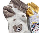 Шкарпетки дитячі Ведмедик 14 р. (12 пар!) (Демісезонні) Варос, фото 4