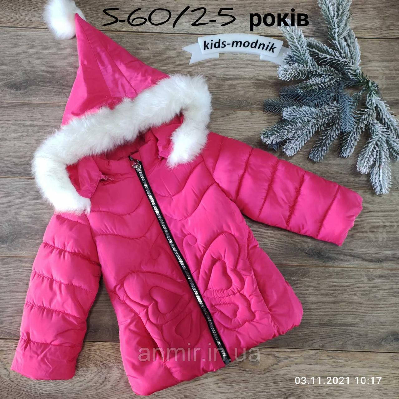 Куртка дитяча єврозима з капюшоном БОБОЧКА для дівчинки 2-5 років, малинового кольору