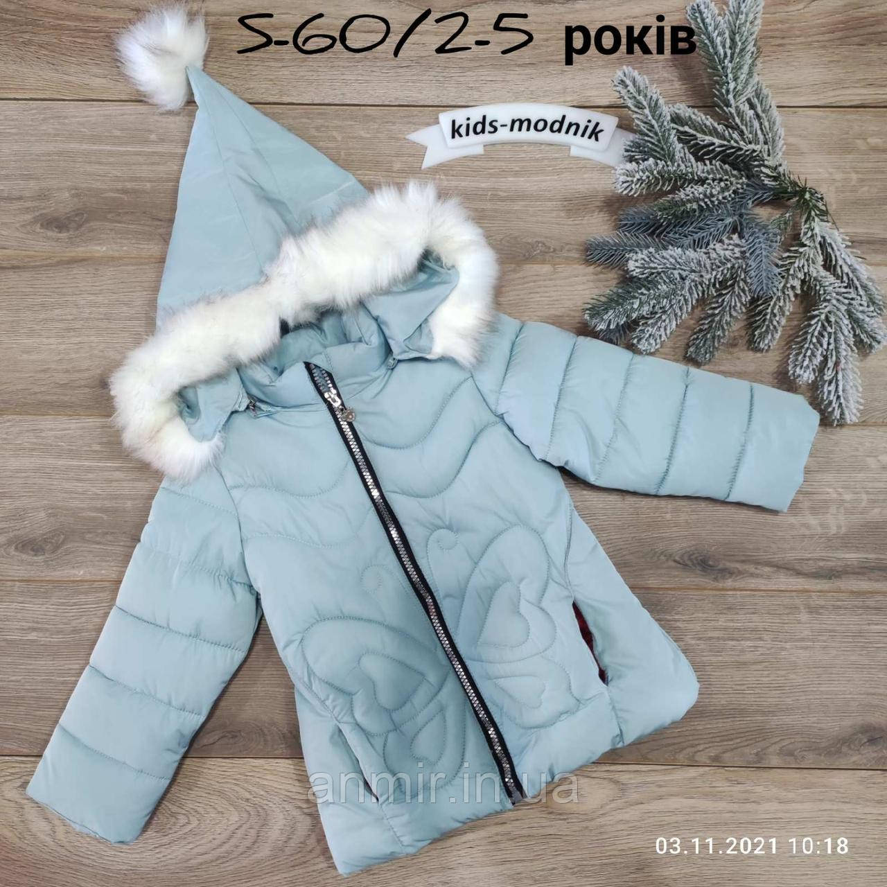 Куртка дитяча єврозима з капюшоном БОБОЧКА для дівчинки 2-5 років, блакитного кольору
