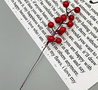 Декоративна гілка / Калина Лакова / Поштучно / 21*1,3 см / Червоний №16